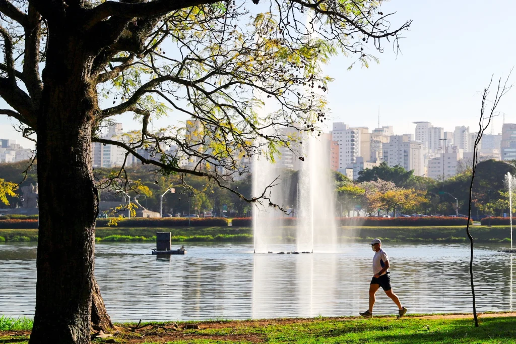 Violência e insegurança assombram o Parque do Ibirapuera violencia-e-inseguranca-assombram-o-parque-do-ibirapuera